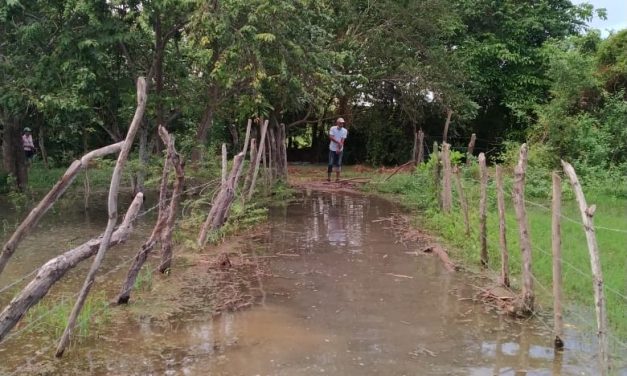 El Magdalena acabó con 500 hectárea en el Sur de Atlántico