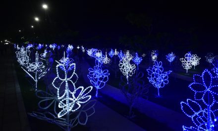 Se encendió la navidad en Barranquilla