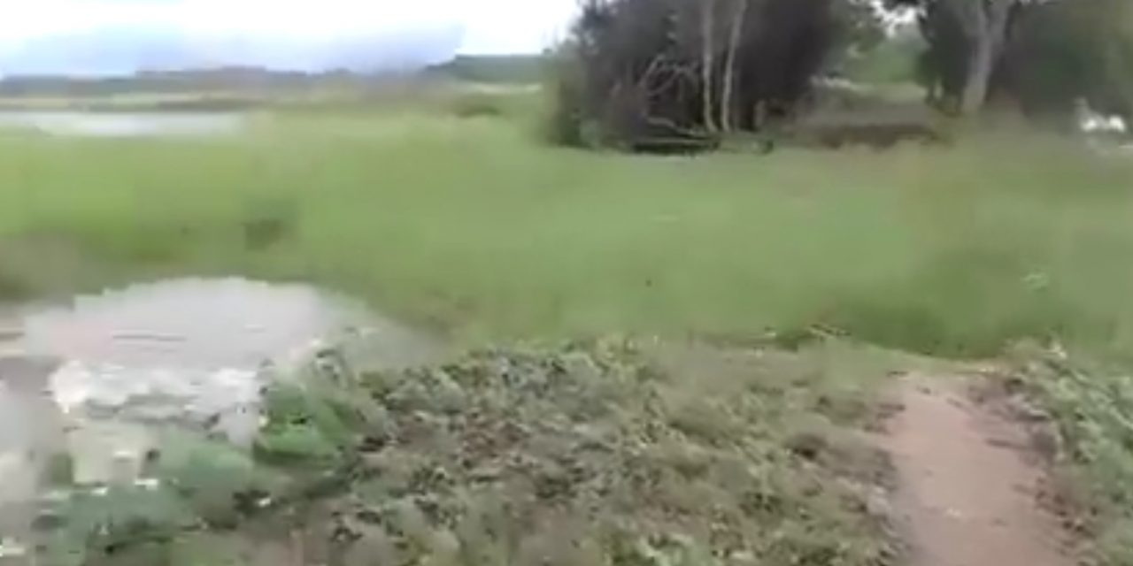 Se rompió el Canal del Dique: 12 mil hectáreas inundadas en calamar