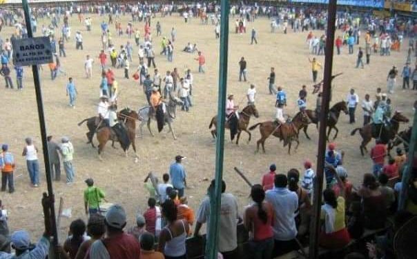 12 corneados y 10 heridos tras 5 días de corraleja en Manatí