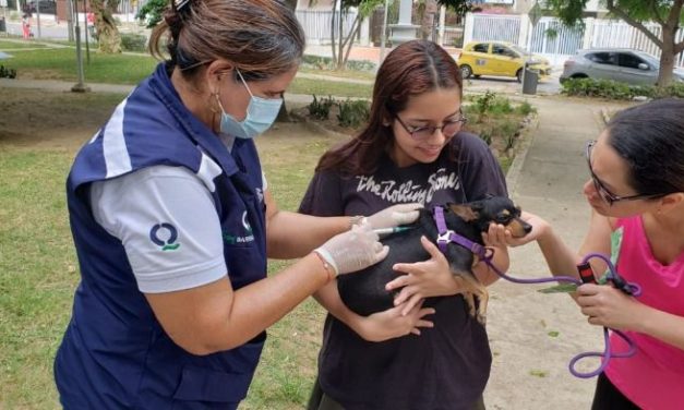 Más de 203.000 perros y gatos vacunados en jornadas de bienestar animal durante 2022