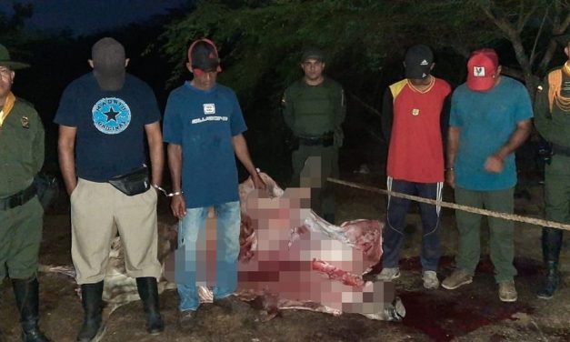 Policía interviene matadero clandestino en Campo de la Cruz
