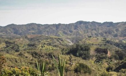 Reforma agraria: Gobierno ofrecen 1.756.000 hectáreas para la venta