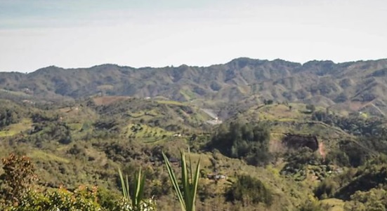 Reforma agraria: Gobierno ofrecen 1.756.000 hectáreas para la venta