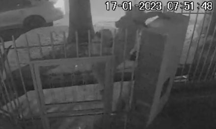 Con habilidades felinas, pero corren como ‘ratas’: vigilante los hace correr a plomo