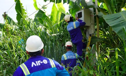 7 fincas producían banano con luz robada en el Magdalena