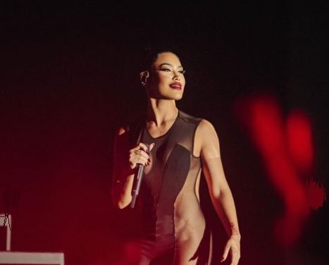 Ana del Castillo, difónica,  suspendió concierto