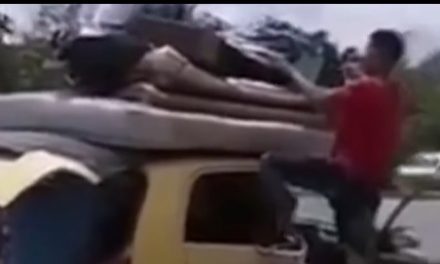 ¡Manda cáscara! se mudó en un ‘zapatico’