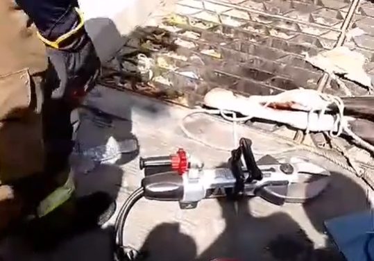 Bomberos rescatan a caballo atrapado en rejilla