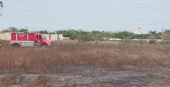 Controlan incendio forestal en inmediaciones del colegio INEM