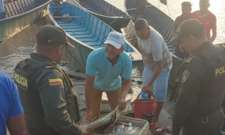 Incautados 213 kilogramos de pescado por no cumplir con la talla mínima de comercialización