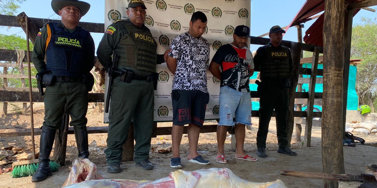 2 capturados en flagrancia por abigeato, en Baranoa