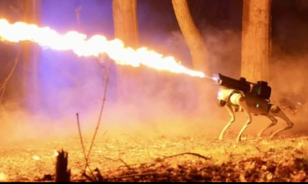 Thermonator, el perro robot lanzallamas que estará disponible por 37 millones de pesos