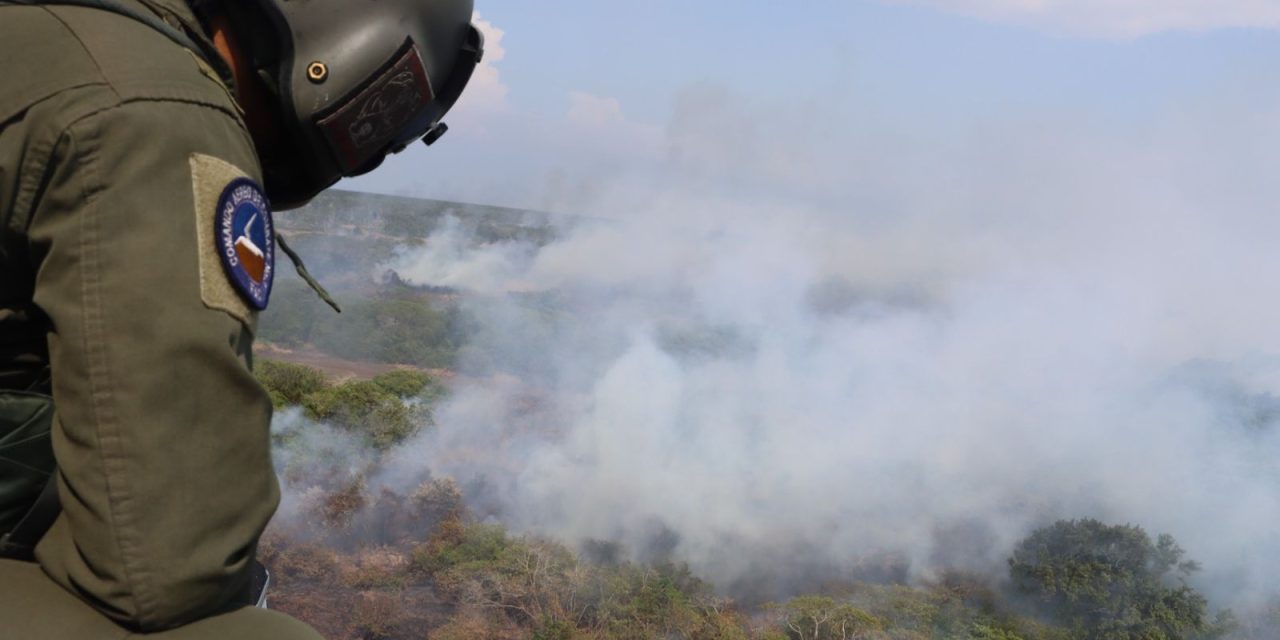 Quemas en Parque Isla Salamanca: aeronave de 800 galones para controlar incendio forestal