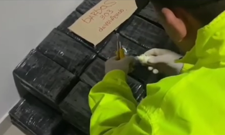 Incautan más de una tonelada de droga