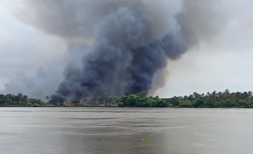 Fuerte incendio forestal en Isla 1928
