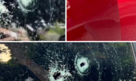 Balacera en el norte deja un herido