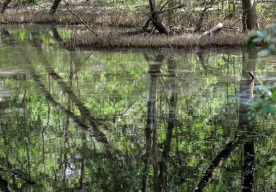 Consejo Territorial del Agua: un paso adelante para los ecosistemas del Caribe