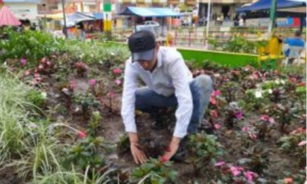 Flores colombianas: entre el aroma del amor y la incertidumbre comercial