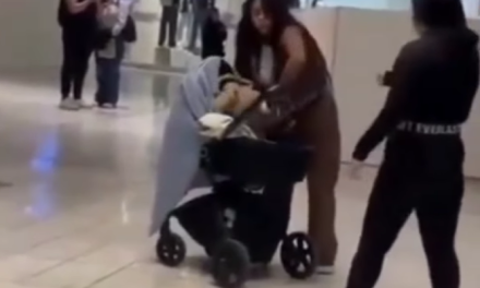 Pelea con coche y guagua incluida alarma a clientes en mall de Chile