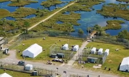 ‘Alligator Alcatraz’: la polémica cárcel para migrantes rodeada de caimanes