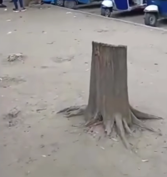 Denuncian posible afectación ambiental en alrededores de la Terminal de Transportes de Barranquilla en Soledad