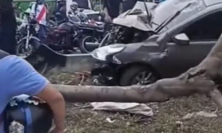 Joven fue arrollado cuando se dirigía a su trabajo en la Circunvalar, falleció