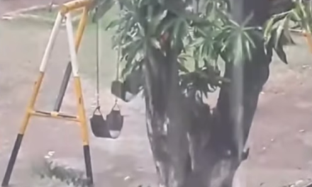 Columpio se mueve solo en parque infantil y vecinos aseguran que es el alma de una niña