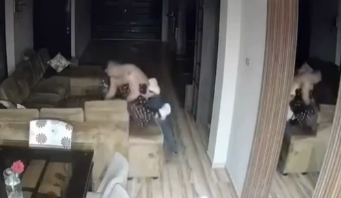 Detienen al alcalde de Nuevo Mundo por agredir brutalmente a su pareja