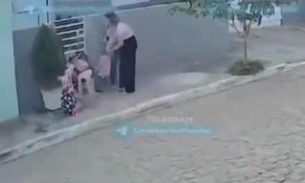 Pitbull atacó a dos mujeres y dos niñas frente a su vivienda en Brasil
