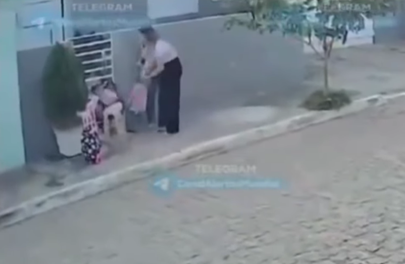 Pitbull atacó a dos mujeres y dos niñas frente a su vivienda en Brasil