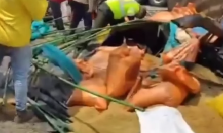 Camión robado se volcó en Barranquilla y hallaron un cadáver entre la carga