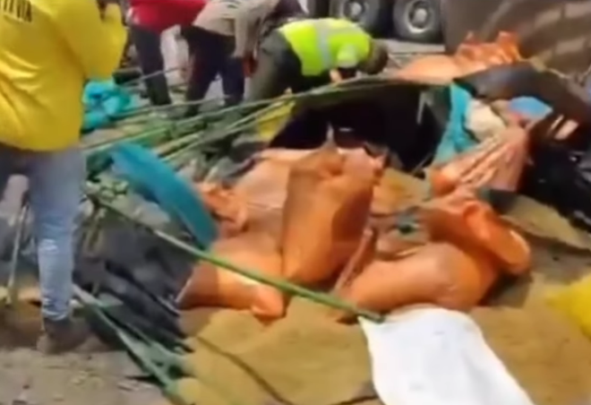 Camión robado se volcó en Barranquilla y hallaron un cadáver entre la carga