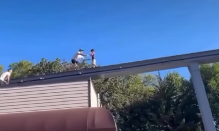 Visitante evita tragedia en Hersheypark al rescatar a niño con autismo en vías del monorraíl