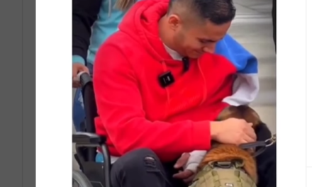 Telmo, el perro que volvió de la guerra para abrazar a su patrullero