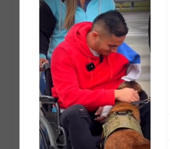 Telmo, el perro que volvió de la guerra para abrazar a su patrullero