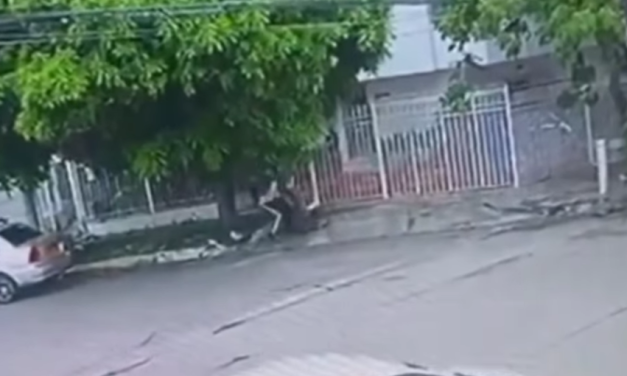 Brutal agresión en Ciudad Jardín: intolerancia tras accidente de tránsito quedó grabada en video