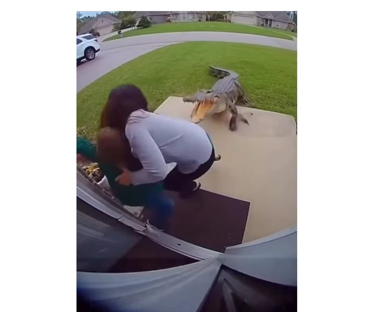 Madre salva a su hijo del ataque de un cocodrilo en Jacksonville, Florida