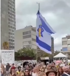 Celebraciones y esperanza tras el anuncio del alto el fuego entre Israel y Gaza