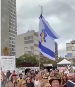 Celebraciones y esperanza tras el anuncio del alto el fuego entre Israel y Gaza