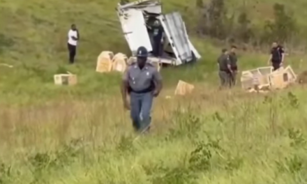 Alerta en Mississippi por mono de laboratorio fugado con posible exposición a virus peligrosos