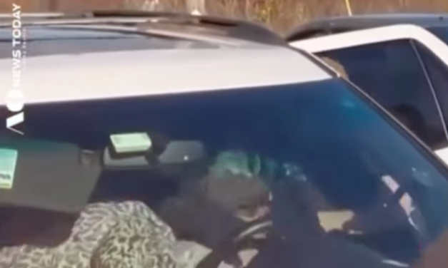 Tensión en Massachusetts: operativo de ICE termina con un hispano convulsionando mientras cargaba a su bebé