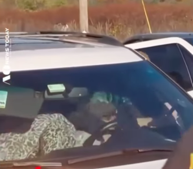 Tensión en Massachusetts: operativo de ICE termina con un hispano convulsionando mientras cargaba a su bebé