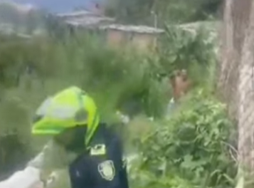 Muere hombre tras atacar a un policía con cuchillo en el barrio Olaya Herrera de Medellín