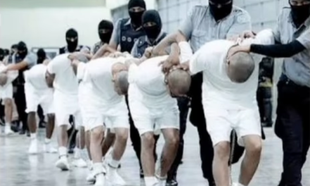 HRW denuncia torturas a migrantes venezolanos deportados desde EE. UU. y recluidos en El Salvador