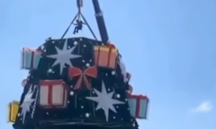 Muere instalando un gigantesco árbol de navidad