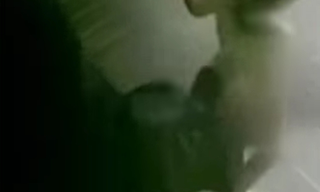 A prisión en tras hacer caer a su hija de 3 años por la escalera, de una patada