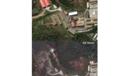  Imágenes satelitales muestran el antes y después de los ataques de EE.UU. en Venezuela