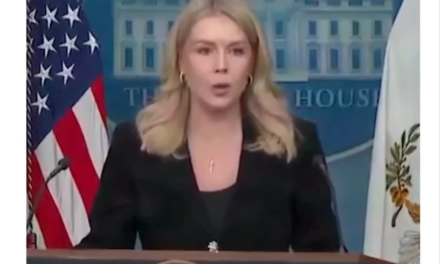 Casa Blanca cierra filas con ICE y arremete contra demócratas por protestas y críticas