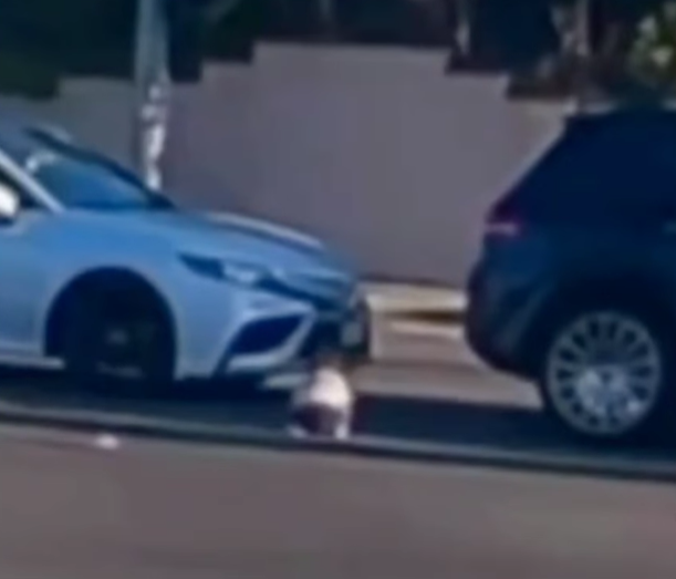  PÁNICO EN PLENA VÍA: NIÑO CAE DE UNA SUV EN CALIFORNIA